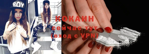 стаф Братск
