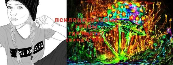 прущая мука Нея