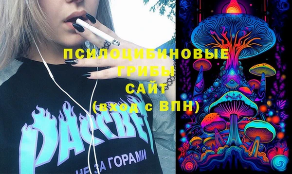 прущая мука Нея