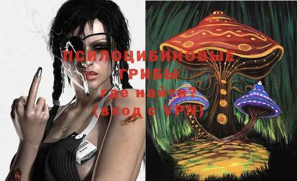 прущая мука Нея
