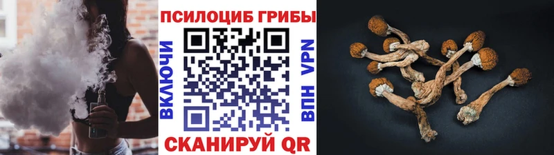 Галлюциногенные грибы MAGIC MUSHROOMS  закладка  Новосиль 