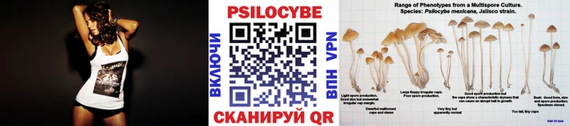 Галлюциногенные грибы MAGIC MUSHROOMS Новосиль